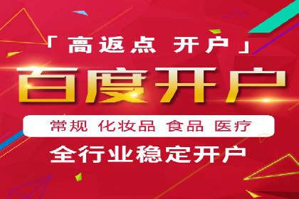 搜索引擎推广的佼佼者——百度搜索推广案例